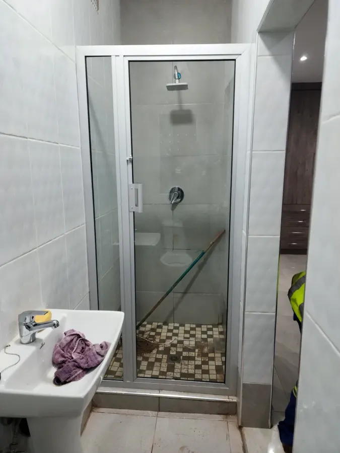 Stylish Shower Glass Door